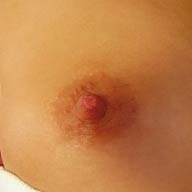 ASSTRAFFIC erect nipple